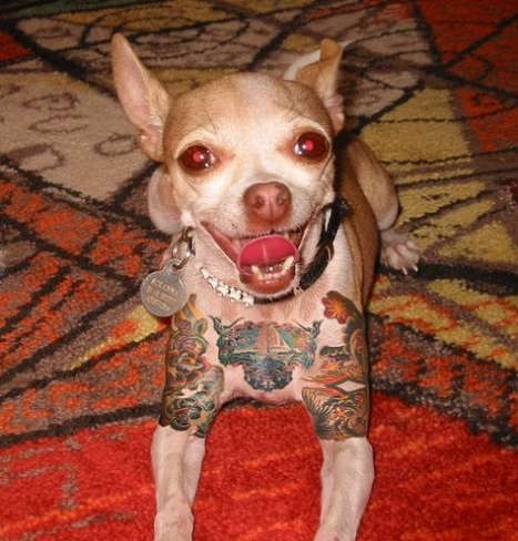 tattoo removal license new york 1000 geometric tattoos ideas tattoo removal license new york 1000 geometric tattoos ideas