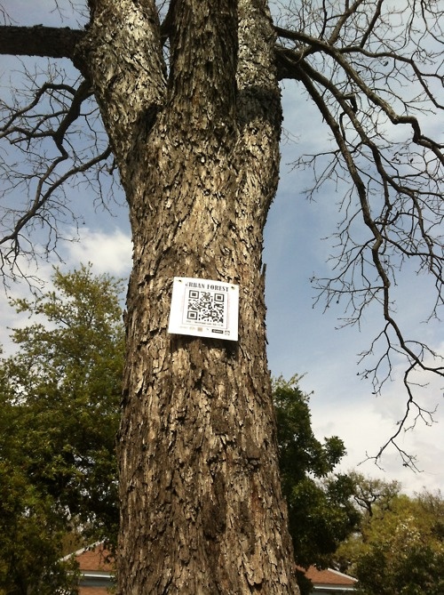 qr code