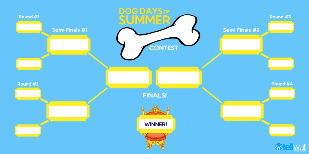 Dog Days Bracket-02