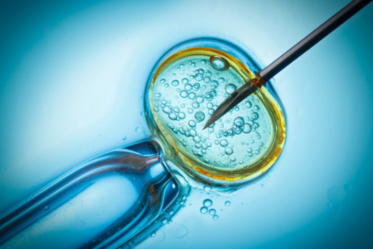 The Alabama Supreme Court's Controversial Ruling: Embryos as Children