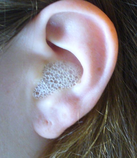 What Kills Ear Mites And Is Natural To Use What Kills Ear Mites And Is Natural To Use