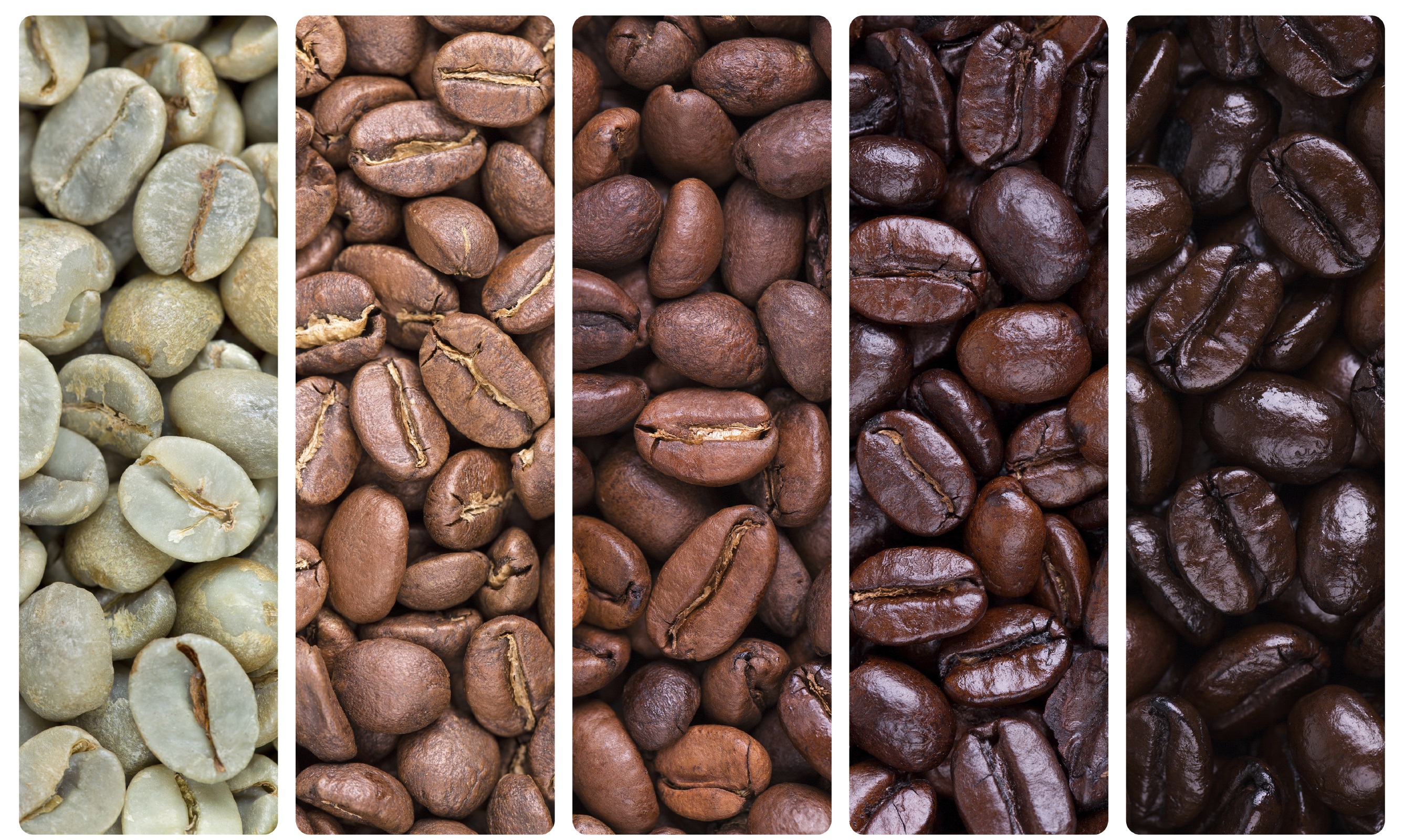 Coffee Roast Preferences