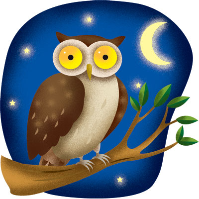  Diabetes With Owls Causes Of Diabetes Type 1 And 2