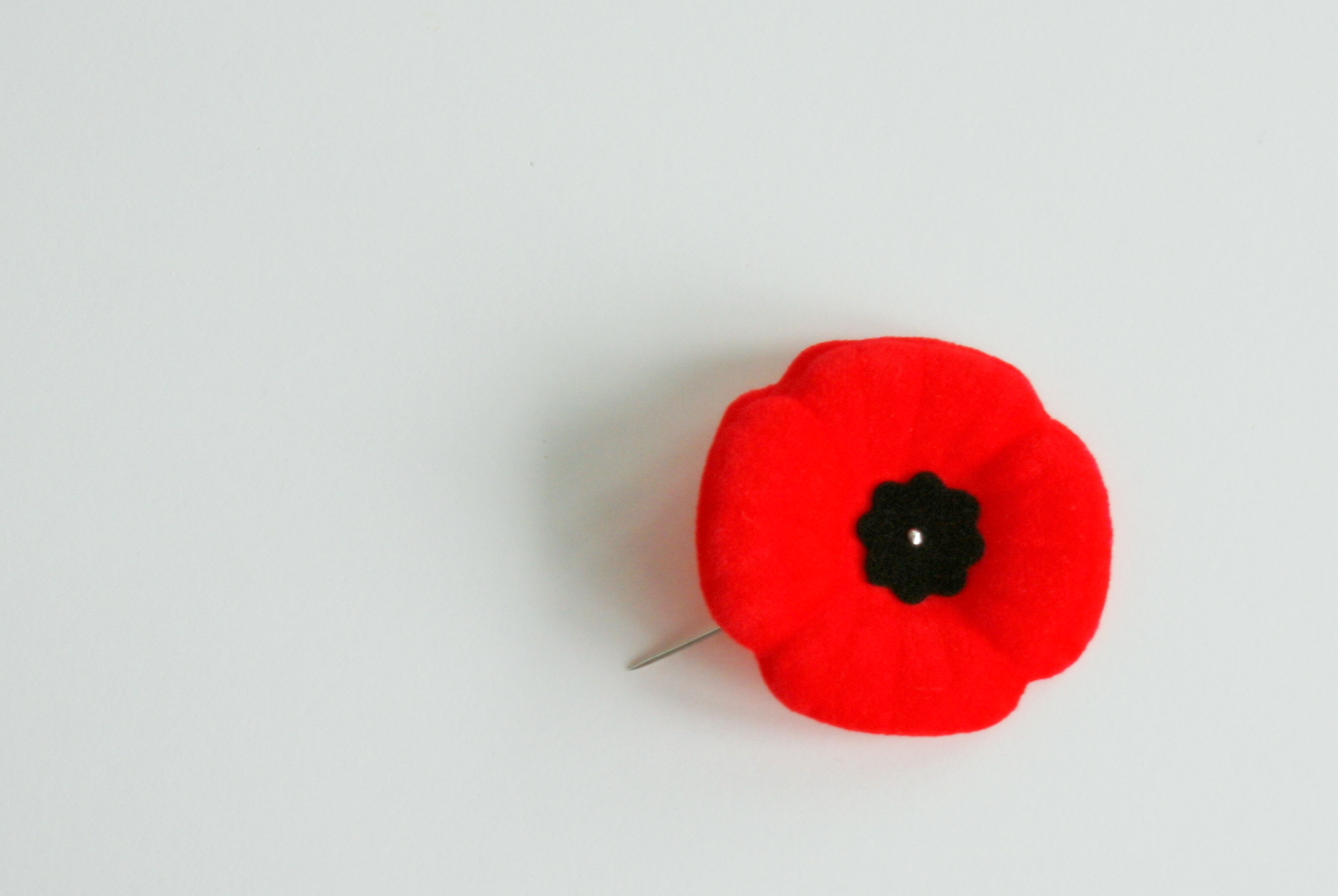 Poppy day презентация