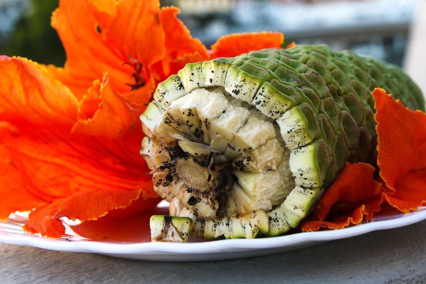 Strange Exotic Fruits