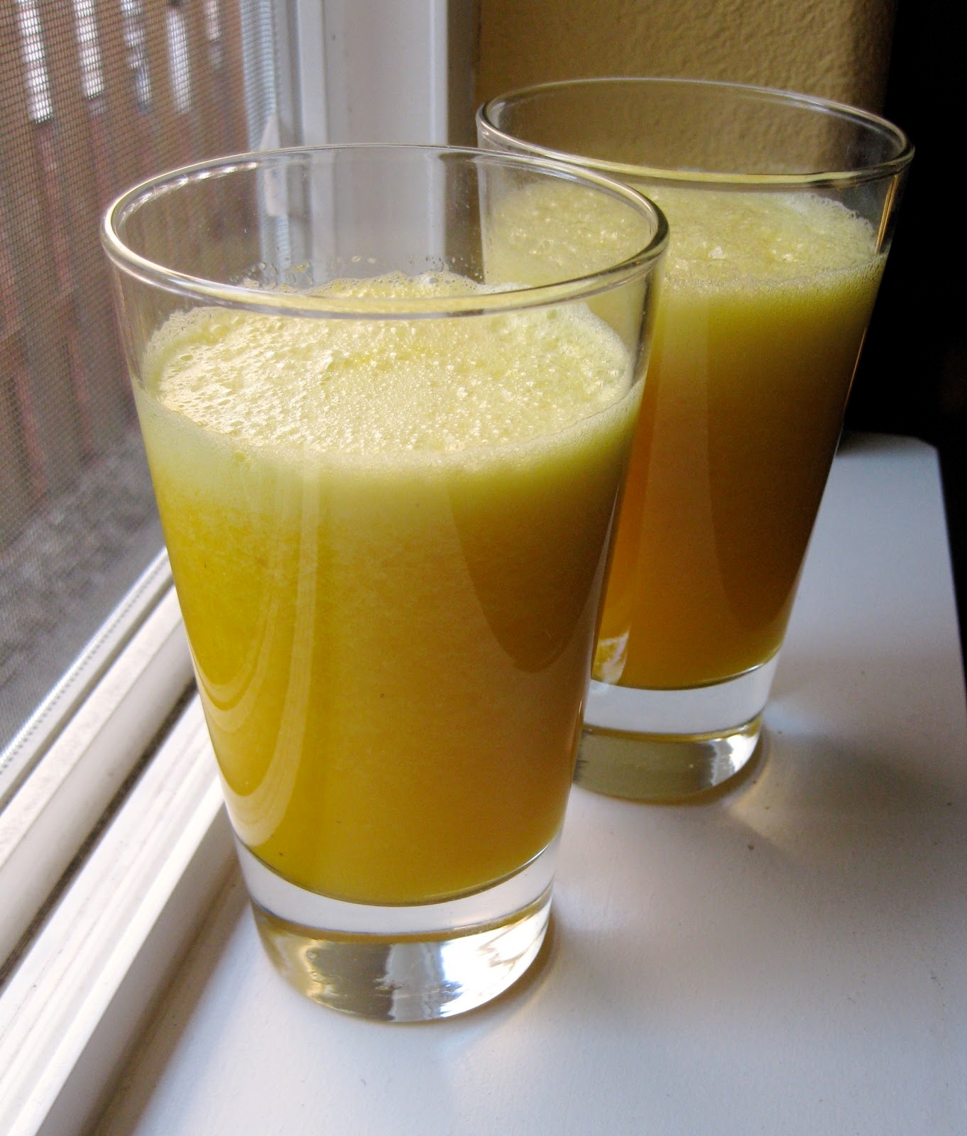 Orange juice in blender | Tellwut.com