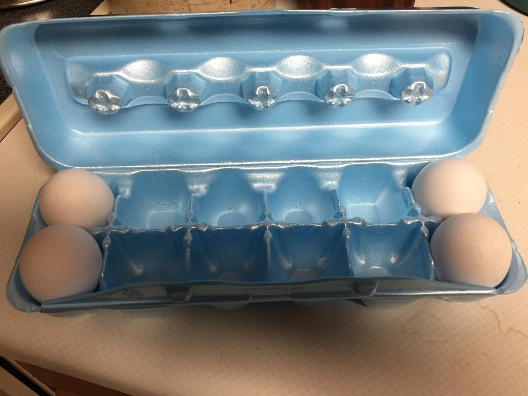 Egg Organization