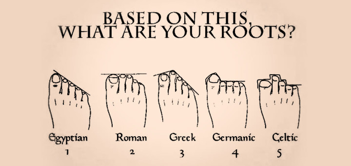 Toes shape | Tellwut.com