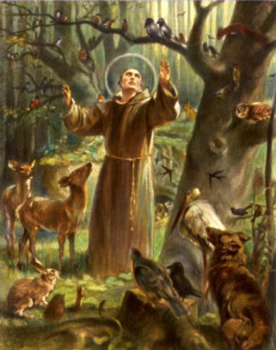 Image result for images of st. francis of assisi