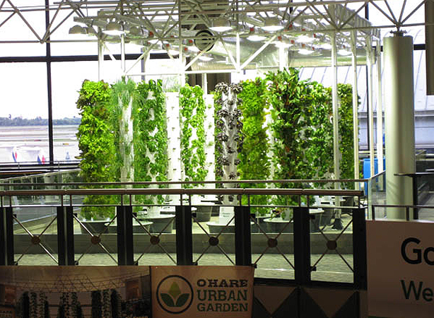 Aeroponic Garden: O'Hare Airport | Tellwut.com