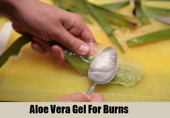 Have You Ever Used Aloe Vera Plant For Minor Burns Tellwut Com