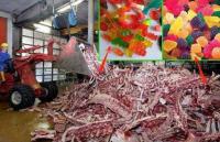 Did you know that gelatin is made from skin, tendons, ligaments, & bones of animals—usually cows or pigs?