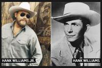 Which singer do you prefer: Hank Williams or Hank Williams Jr?