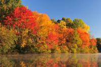 Take a look at this picture of leaves changing color by a lake. What type of feelings does this evoke for you?