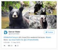 The park said if you must take a photo with a bear in the background, head to your local zoo instead. Or have a park ranger take a photo of you, keeping a respectful distance from the bears. Do you agree with the parks statement?