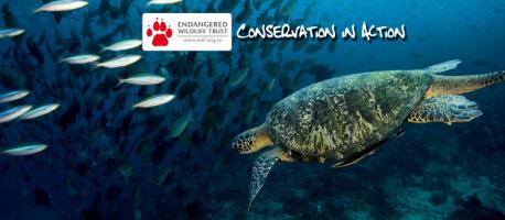 It is one of South Africa's most respected conservation bodies. It works to save endangered wild animals of all kinds. This includes wildlife living in all kinds of ecosystems. Are you familiar with any (or all) of these 6 ecosystems in South Africa?