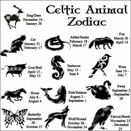 The Celts saw the animal world as being closely connected to their own. These animal qualities and characteristics evolved to become specific meanings the Celts associated with each type of animal. Are you familiar with the Celtic Animal Zodiacs?