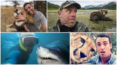 Would you risk the life of a wild animal just to have that selfie moment?