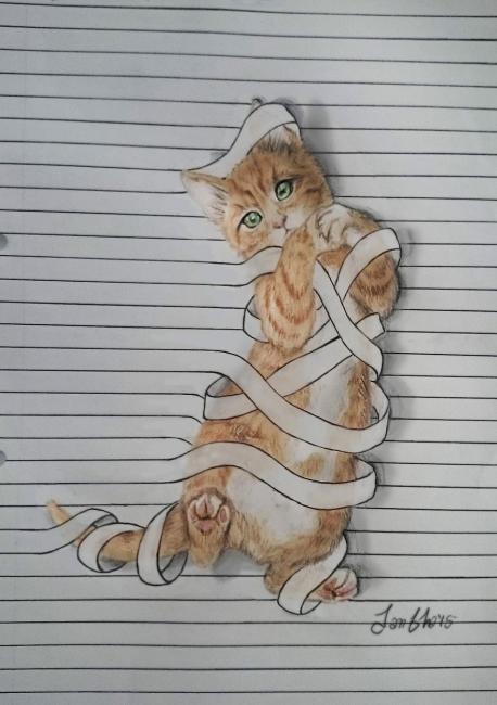 Do you like this drawing of the cat?