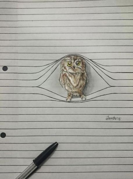 Do you like this drawing of the owl?