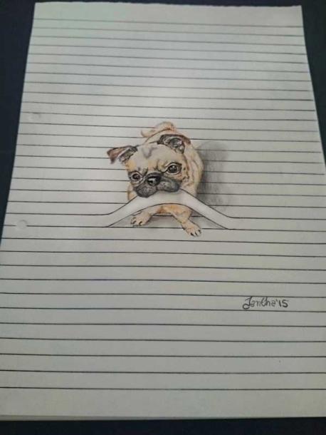 Do you like this drawing of the pug?