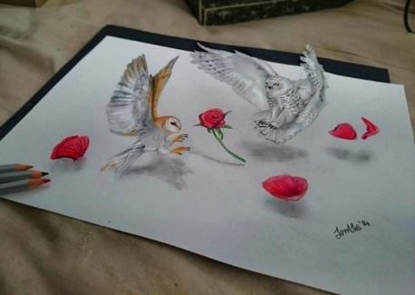 Do you like this 3-d drawing of the Owls with Flowers?