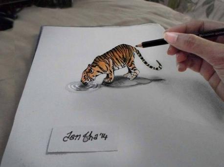 Do you like the 3-d drawing of the Tiger Drinking Water?