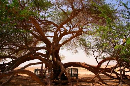 Interesting facts about 