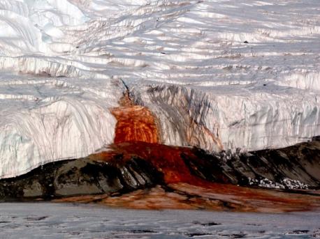 Blood Falls: Blood Falls, in one of the driest regions of Antarctica, is fed by an underground lake. It's full of bacteria scientists want to study because they fuel themselves with sulfates, instead of sugars like we do. The water has so much iron in it that it literally rusts when it meets air, giving the waterfall its trademark color. Have you ever seen the blood falls in Antarctica?