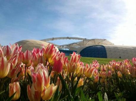 If you have not been to Kelebekler Valley Park, would you like to see the Atlas moth in Konya?