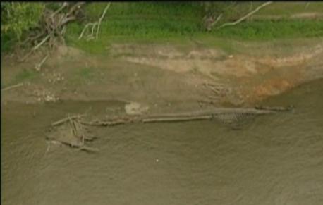 A HUGE WOODEN STEAMBOAT: The steamboat Montana, built in 1882, was the largest ship that ever traveled on the Missouri River. But she lasted just two years before she struck an underground tree and was sunk. During a severe 2012 drought, water levels in the Missouri dropped low enough to expose the enormous wreck. Have you ever seen the steamboat named Montana?