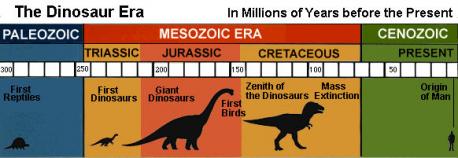 What interesting prehistoric facts are you familiar with (part one)?