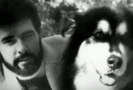 Pop culture moments we owe to animals