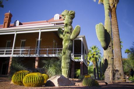 Lastly, do you live in an area where there are saguaro cacti?
