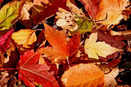 Things that happen in November 2017