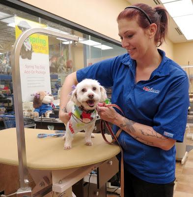 what do pet care associates do at petsmart what do pet care associates do at petsmart