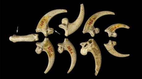 10 oldest things on Earth