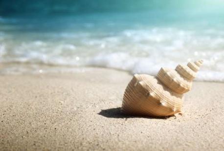 Source Daily News: Sadly, life's a beach sometimes! A Texas woman who vacationed in the Florida Keys will spend 15 days in jail and another six months on probation for taking 40 queen conchs from the ocean. Are you familiar with this story?