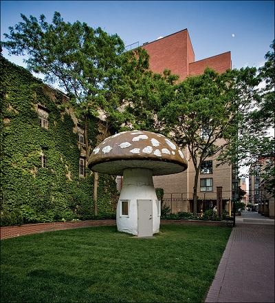 Toronto Sculpture Garden (Toronto, Canada): Opened in 1981 in downtown Toronto, the Toronto Sculpture Garden is home to a regular rotating collection of outdoor sculpture. Located across the street from St. James Cathedral, this sculpture garden has provided many emerging and established artists with the opportunity to work outdoors. Toronto-based artists Susan Schelle and Yvonne Singer have both had works displayed at the garden, and with temporary exhibitions changing regularly, this sculpture garden always has something new and original to offer visitors. Have you ever visited the Toronto Sculpture Garden that is located in Canada?