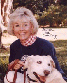 The Doris Day Animal Foundation awards grants, funding other nonprofits across the U.S. Which Doris Day foundation's legacy projects are you aware of?