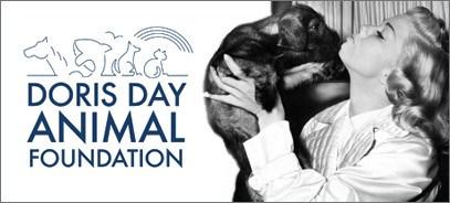 Lobbying, grants and pet-friendly hotels: Wanting to do more, in 1987 she formed the Doris Day Animal League, a nonprofit citizens' lobbying organization with a mission to reduce animal pain and suffering through legislative initiatives, education and programs. The group founded what's now known as World Spay Day, which helped spay and neuter more than 1.5 million animals in the first 15 years since its creation. (In 2007, the Doris Day Animal League merged with the Humane Society of the United States.) Are you familiar with these Doris Day animal facts?