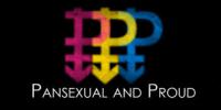Did you know Pansexual Pride Day was on December 8?