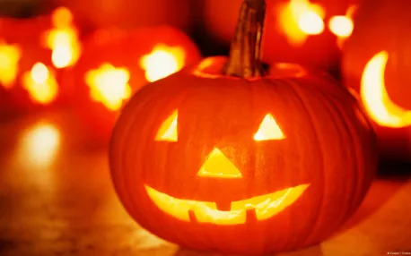Jack o lanterns are a yearly Halloween tradition that developed when Celtic immigrants brought their root vegetable carving traditions with them to the United States. They are carved from pumpkins, and a light may go inside the pumpkin to illuminate the sculpture. Did you ever make a jack o lantern?