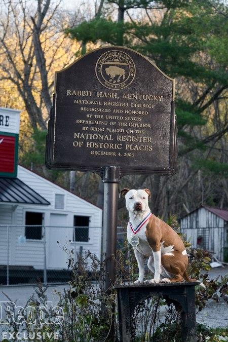 Mayor Brynn Rabbit Hash, Kentucky | Tellwut.com