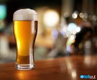 Daily Debate: In honor of International Beer Day, do you prefer domestic or import?