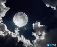 Daily Debate: Would you want to be laid to rest on the Moon?