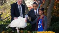 The Presidential Turkey Pardon - Every year since 1989, the President of the United States has issued a symbolic pardon to a turkey, sparing its life prior to Thanksgiving - what do you think about this tradition ?
