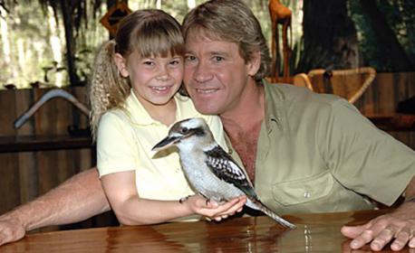 Bindi Irwin is the daughter of the late Steve Irwin, a well known Australian wildlife expert - did you ever see Steve Irwin,