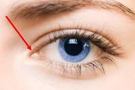 And finally this last set. How many did you know the correct name for?