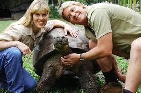 Here's one that has not really ever been verified, but for obvious reasons, I had to put it in. Both Charles Darwin and Steve Irwin owned the same tortoise, named Harriet. The giant tortoise, who was 176 years old, died in 2006, at the Queensland-based Australia Zoo owned by 